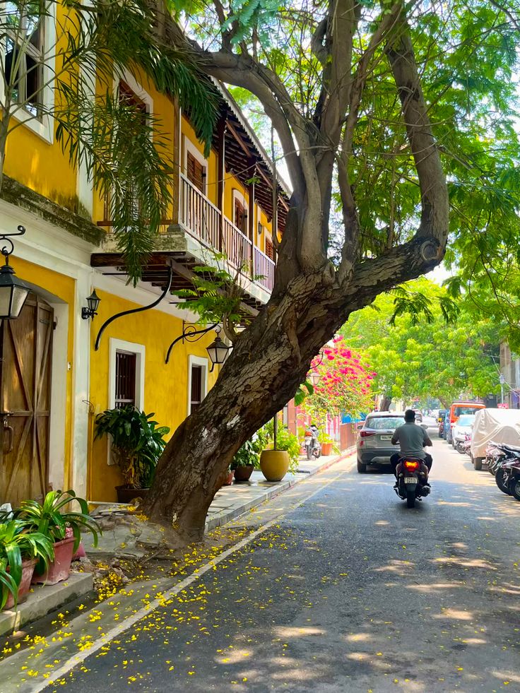 Puducherry French Quarter